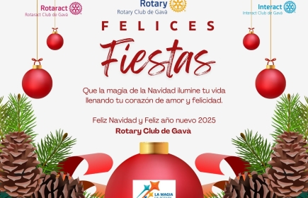 FELICES FIESTAS